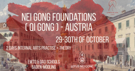 nei gong qigong austria