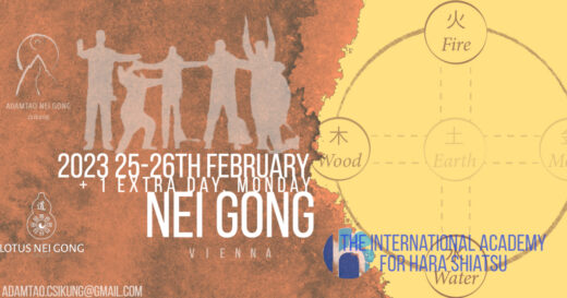 2023 Nei gong Vienna