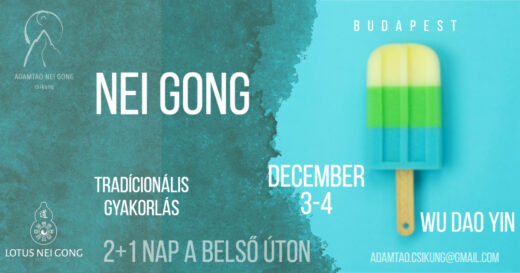 nei gong 2022 december budapest csikung