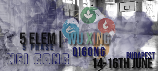 Dao neigong 2024 5 element