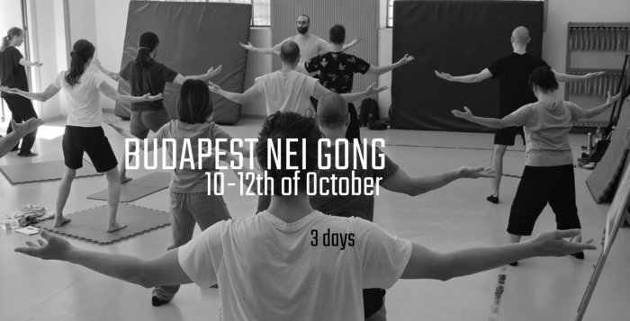 2025 October dao nei gong budapest
