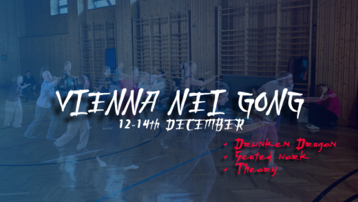 2025 december vienna nei gong