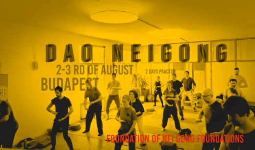 2025 nei gong qi gong budapest august