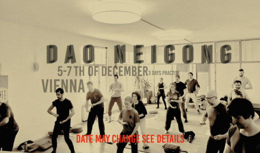 2025 nei gong qi gong vienna december