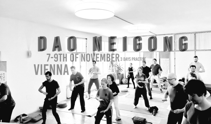2025 nei gong qi gong vienna