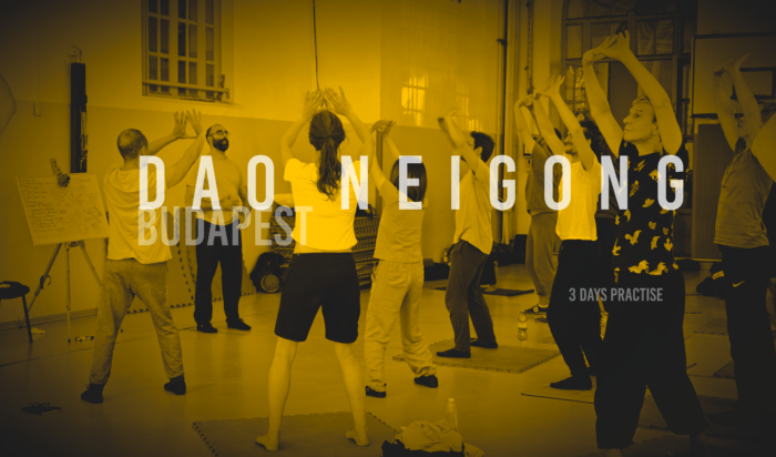 2026 nei gong qi gong budapest