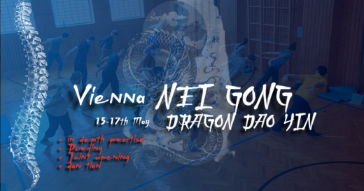 2026 may vienna dragon dao yin nei gong