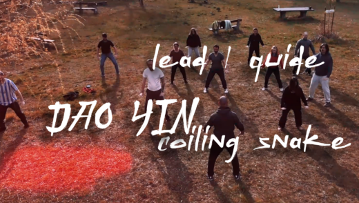 2026 dao yin lead and guide Budapest nei gong