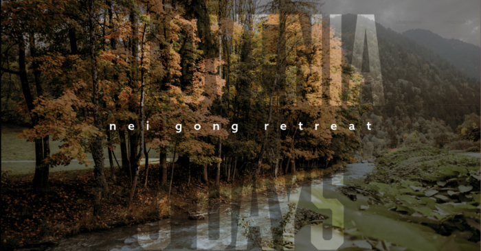 2026 annual nei gong retreat slovenia