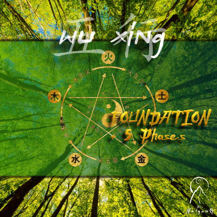 Wu Xing Qi gong Graz