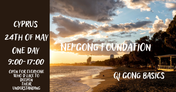 2026 Cyprus nei gong foundations